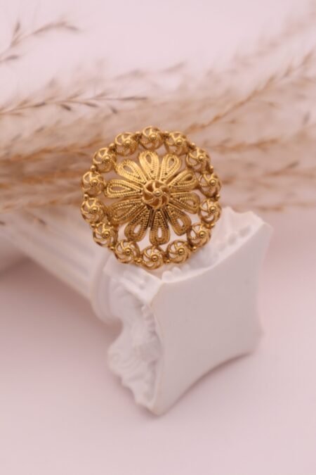 ANILLOS DE TOMATILLO