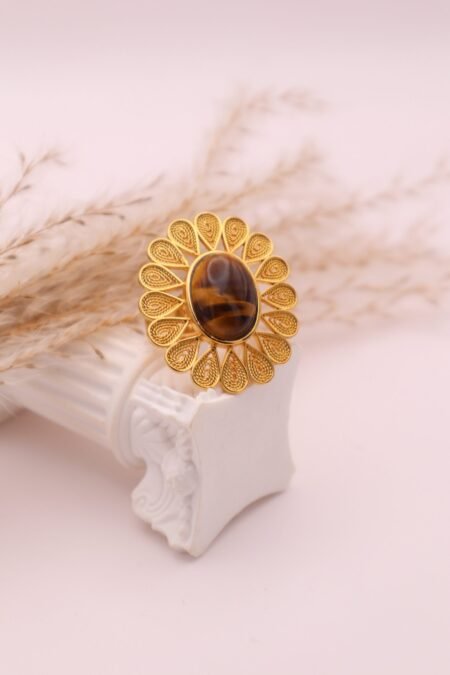 Anillos